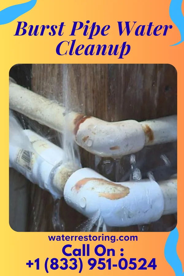 Burst Pipe Water Cleanup in Falls View, WV