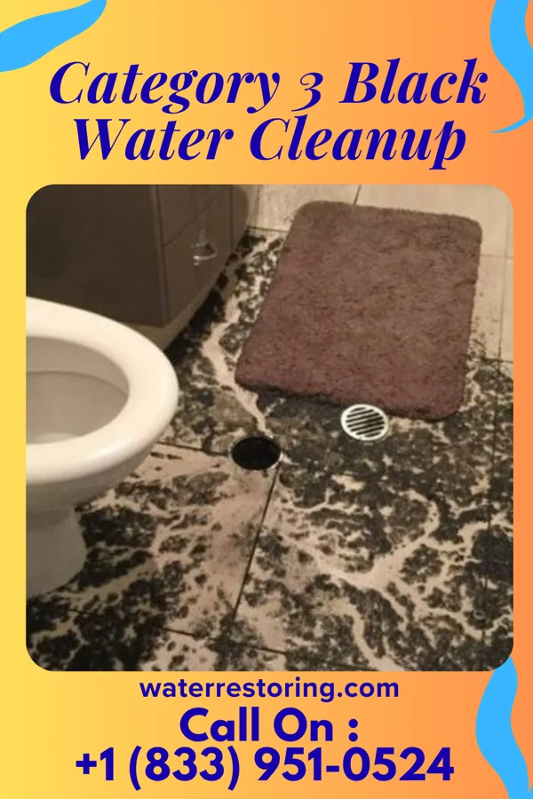 Category 3 Black Water Cleanup in Falls View, WV