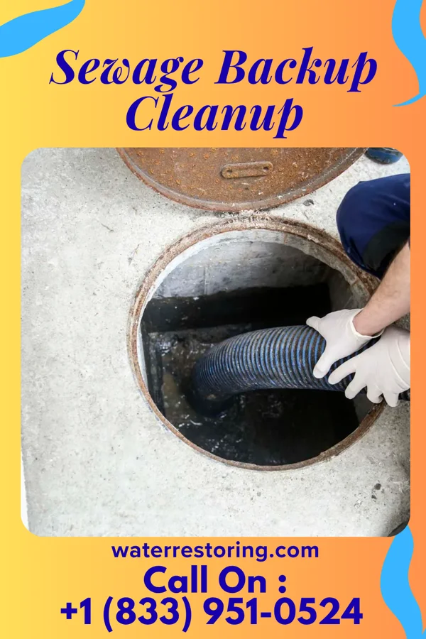 Sewage Backup Cleanup in Falls View, WV