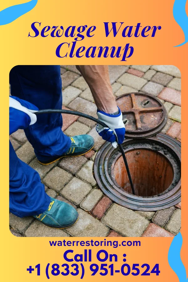 Sewage Water Cleanup in Falls View, WV