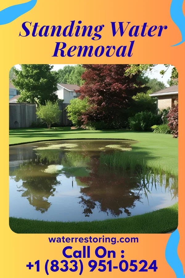Standing Water Removal in Falls View, WV